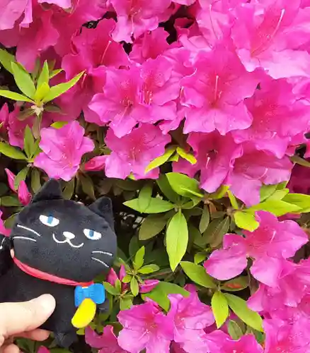 根津神社(東京都)