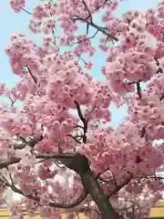 櫛田神社の自然