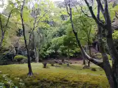 西明寺(滋賀県)