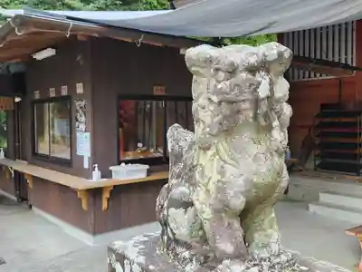 豊玉姫神社の狛犬