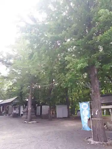 星置神社の自然