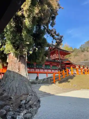 春日大社(奈良県)
