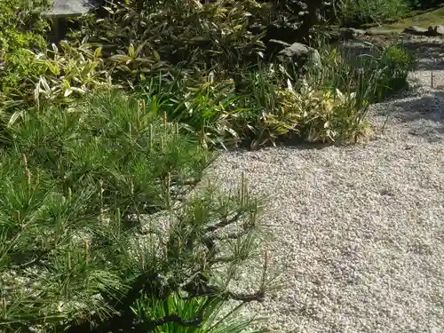 教恩寺のその他建物