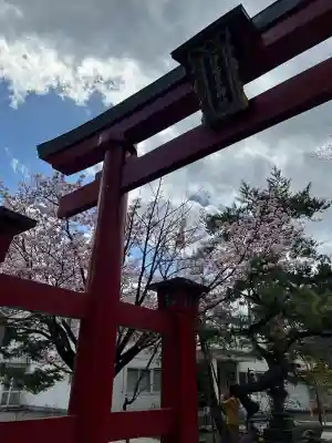 彌彦神社　(伊夜日子神社)の{uncategorized: "未分類", other: "その他", undefined: "問題あり", building: "その他建物", grave: "お墓", sacred_gate: "鳥居", guardian: "狛犬", statue: "像", buddha: "仏像", history: "歴史", nature: "自然", garden: "庭園", animal: "動物", pagoda: "塔", temizu: "手水舎", mountain_gate: "山門・神門", sanctuary: "本殿・本堂", subordinate: "末社・摂社", art: "芸術", scenery: "景色", jizo: "地蔵", ema: "絵馬", goshuin: "御朱印", omikuji: "おみくじ", items: "授与品その他", amulet: "お守り", goshuincho: "御朱印帳", eats: "食事", festival: "お祭り", votive_dance: "神楽", shichigosan: "七五三参", wedding: "結婚式", experience: "体験その他", initially: "初詣", around: "周辺", anti_infection: "感染症対策"}
