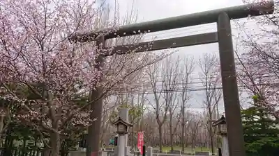 烈々布神社の鳥居