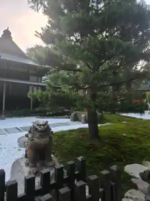 賀茂御祖神社（下鴨神社）(京都府)