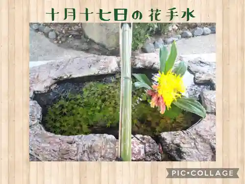 阿智神社の手水舎