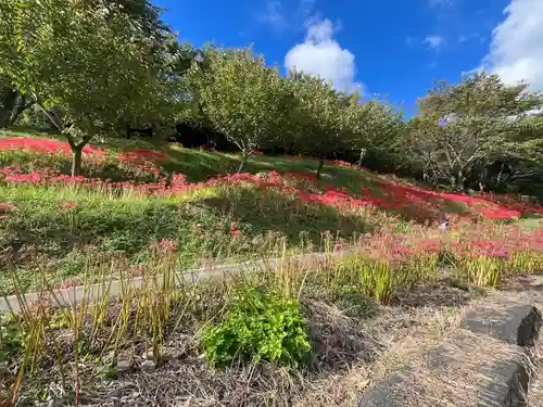 長谷寺(宮城県)