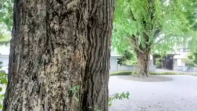 星谷寺(神奈川県)