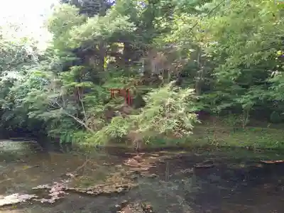 稲荷社（忍野八海　出口池）(山梨県)