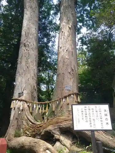 妻沼聖天山歓喜院の自然