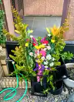 成就院の{uncategorized: "未分類", other: "その他", undefined: "問題あり", building: "その他建物", grave: "お墓", sacred_gate: "鳥居", guardian: "狛犬", statue: "像", buddha: "仏像", history: "歴史", nature: "自然", garden: "庭園", animal: "動物", pagoda: "塔", temizu: "手水舎", mountain_gate: "山門・神門", sanctuary: "本殿・本堂", subordinate: "末社・摂社", art: "芸術", scenery: "景色", jizo: "地蔵", ema: "絵馬", goshuin: "御朱印", omikuji: "おみくじ", items: "授与品その他", amulet: "お守り", goshuincho: "御朱印帳", eats: "食事", festival: "お祭り", votive_dance: "神楽", shichigosan: "七五三参", wedding: "結婚式", experience: "体験その他", initially: "初詣", around: "周辺", anti_infection: "感染症対策"}