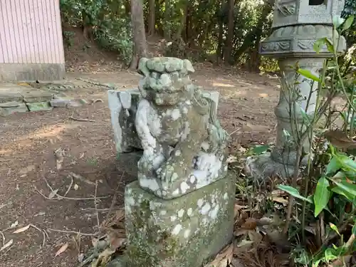 妙見神社の狛犬