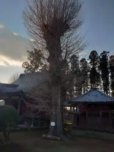 城興寺（延生地蔵尊）のその他建物