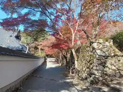 神峯山寺(大阪府)