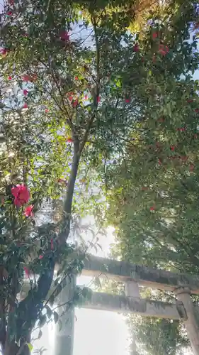 十二所社の自然