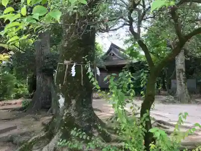 筑紫神社(福岡県)