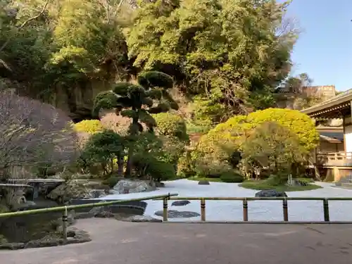 報国寺(神奈川県)