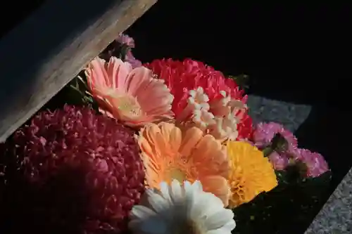 豊景神社の手水舎