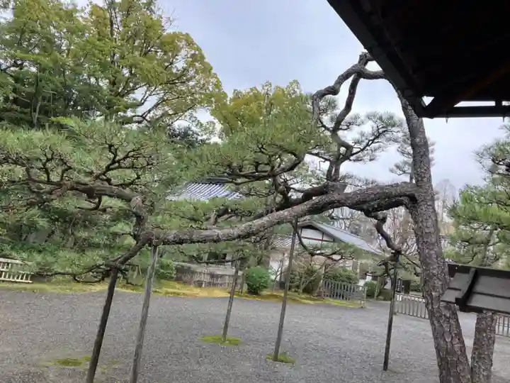 廬山寺(廬山天台講寺)(京都府)
