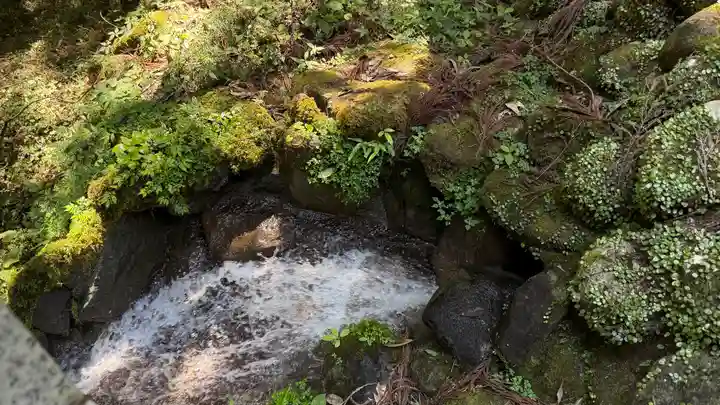 最乗寺(道了尊)(神奈川県)