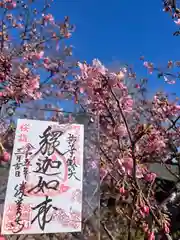 勝覚寺の御朱印