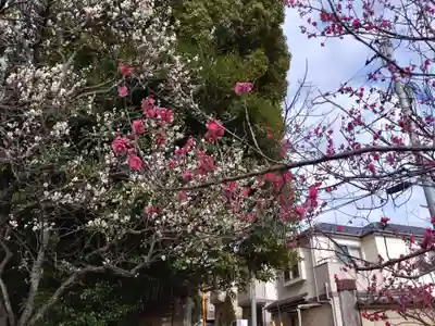 谷保天満宮(東京都)