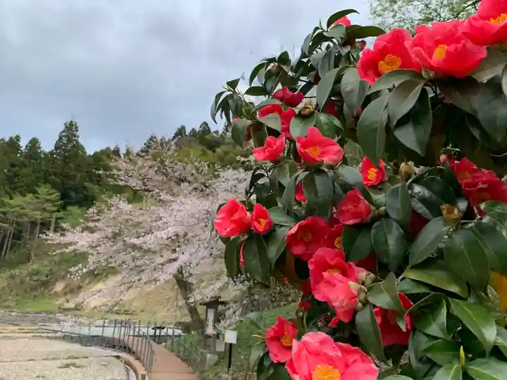 朝倉神社(福井県)