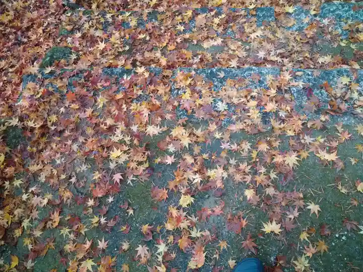 瀧宮神社(広島県)