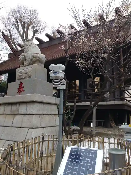 高円寺氷川神社(東京都)
