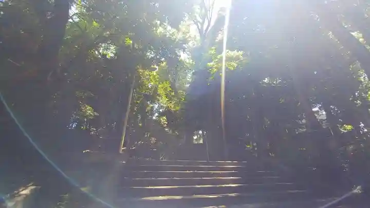 渋谷氷川神社の景色