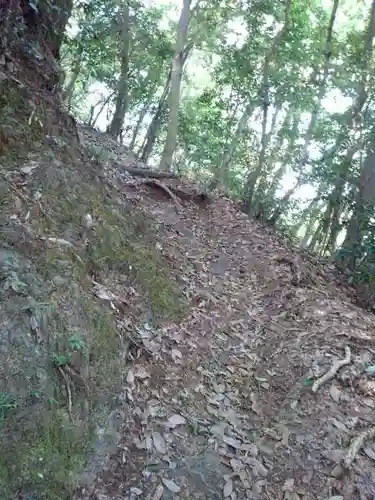 浅川金刀比羅神社 の自然