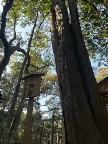 伊勢神宮外宮（豊受大神宮）の{uncategorized: "未分類", other: "その他", undefined: "問題あり", building: "その他建物", grave: "お墓", sacred_gate: "鳥居", guardian: "狛犬", statue: "像", buddha: "仏像", history: "歴史", nature: "自然", garden: "庭園", animal: "動物", pagoda: "塔", temizu: "手水舎", mountain_gate: "山門・神門", sanctuary: "本殿・本堂", subordinate: "末社・摂社", art: "芸術", scenery: "景色", jizo: "地蔵", ema: "絵馬", goshuin: "御朱印", omikuji: "おみくじ", items: "授与品その他", amulet: "お守り", goshuincho: "御朱印帳", eats: "食事", festival: "お祭り", votive_dance: "神楽", shichigosan: "七五三参", wedding: "結婚式", experience: "体験その他", initially: "初詣", around: "周辺", anti_infection: "感染症対策"}
