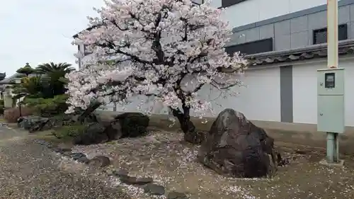 常泰寺(京都府)