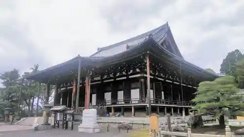 くろ谷 金戒光明寺の本殿・本堂