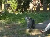 塩釜神社(徳島県)