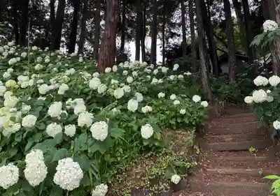竹原神社(茨城県)