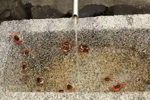 蟹満寺(京都府)