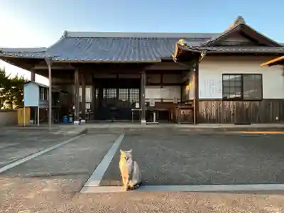 横樋観音の動物