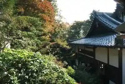 正覚庵(京都府)