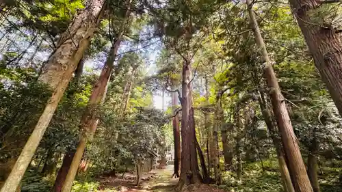 久須夜神社(福井県)