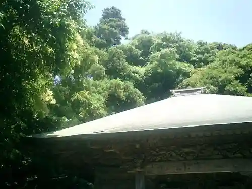 岩殿寺の自然