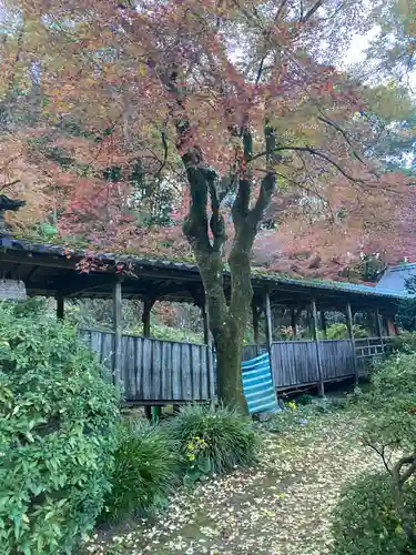 永勝寺の庭園