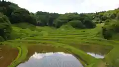 大杉神社の周辺