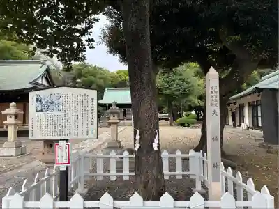 新曽氷川神社(埼玉県)