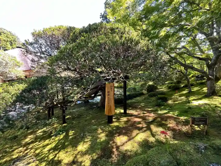 円通院(宮城県)