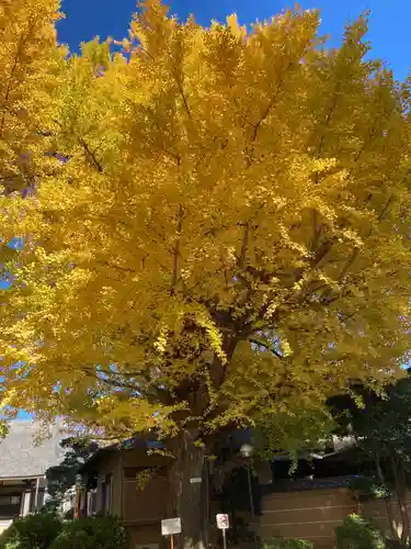 森巌寺(東京都)