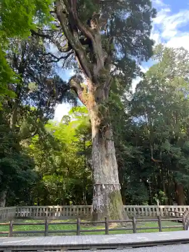 霧島神宮(鹿児島県)