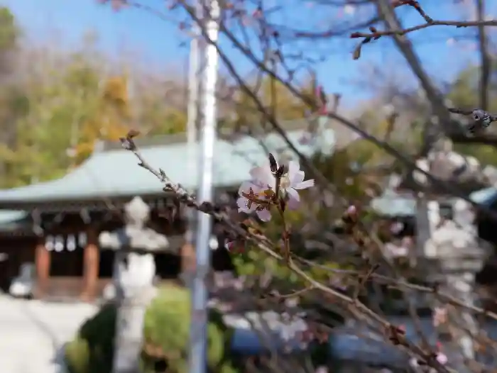 山梨縣護國神社の建物その他