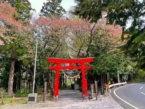 石手堰神社の鳥居